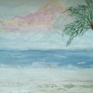 Sunset Palm